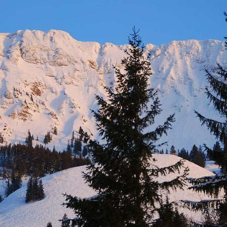 Fewo Heitmann Oberjoch Dış mekan fotoğraf