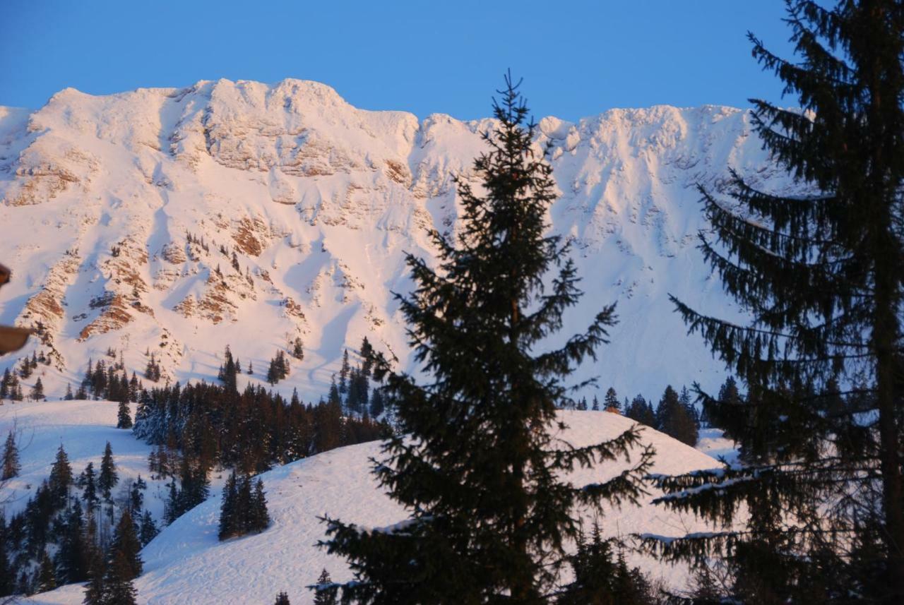 Fewo Heitmann Oberjoch Dış mekan fotoğraf